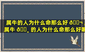 属牛的人为什么命那么好 🐬 ,属牛 🌸 的人为什么命那么好呢